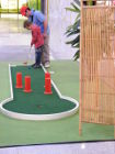 location de mini golf